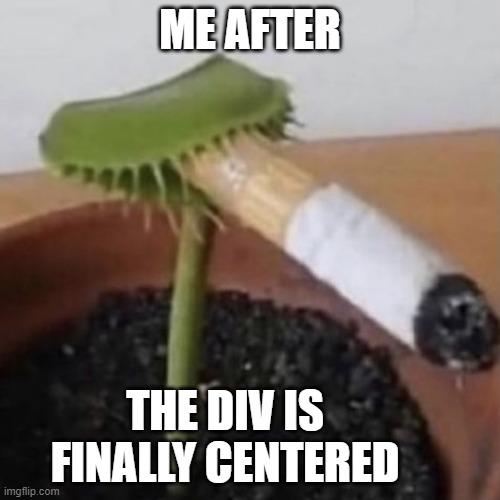 The Div Is Finally Centered