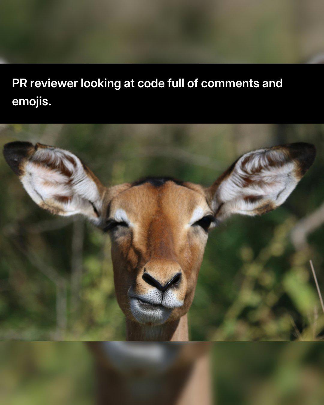 The Judgmental PR Reviewer