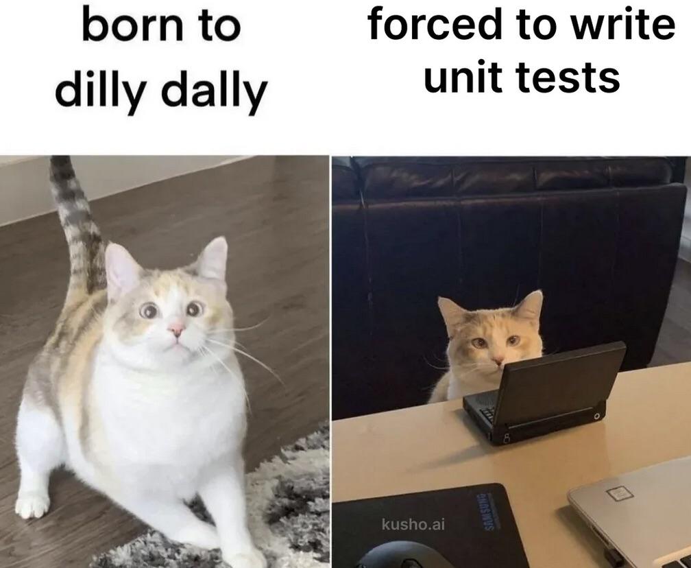 Born To Code, Forced To Test