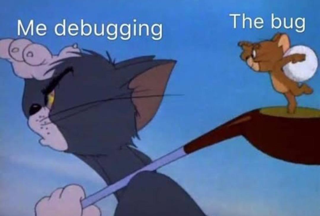 The Eternal Cat And Mouse Debugging Game