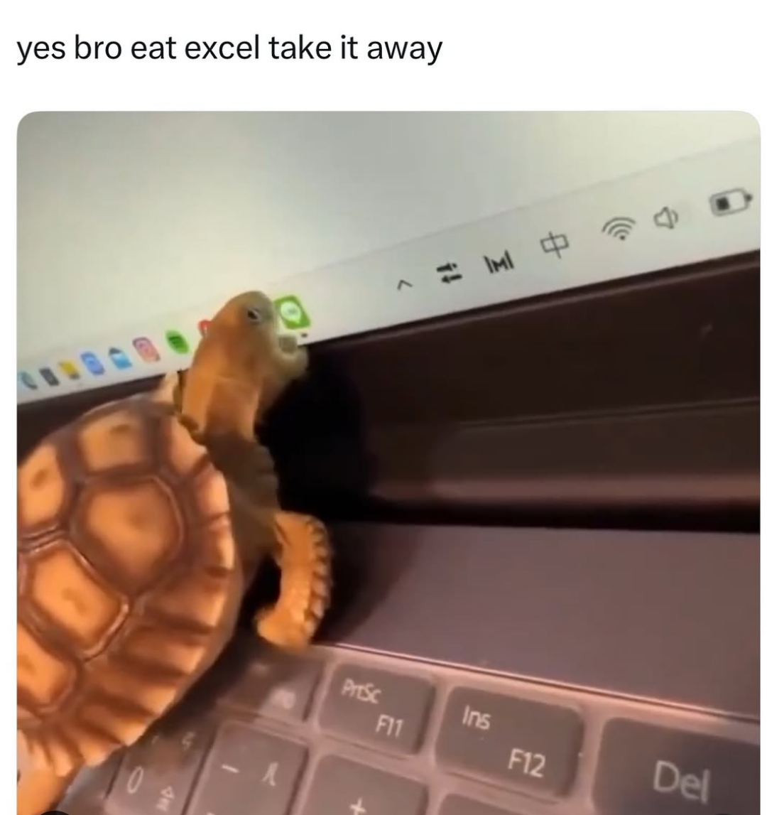 Thank You Little Dude