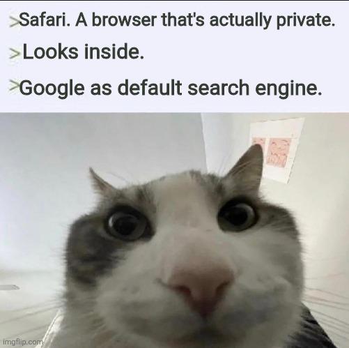 Privacy Theater At Its Finest