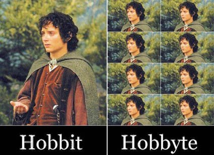 Hobbit vs Hobbyte: The Ultimate Memory Optimization