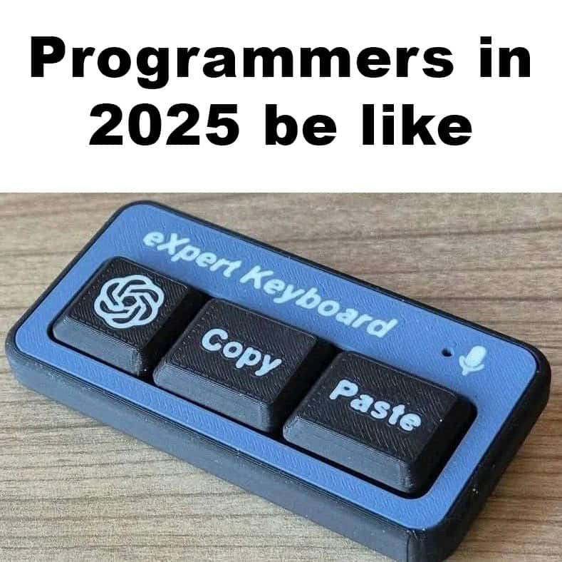 Programmers In 2025 Be Like