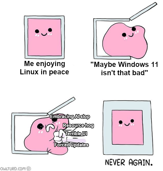 The Windows 11 Experiment: A Survivor's Tale