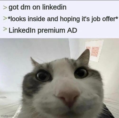 The LinkedIn Notification Betrayal
