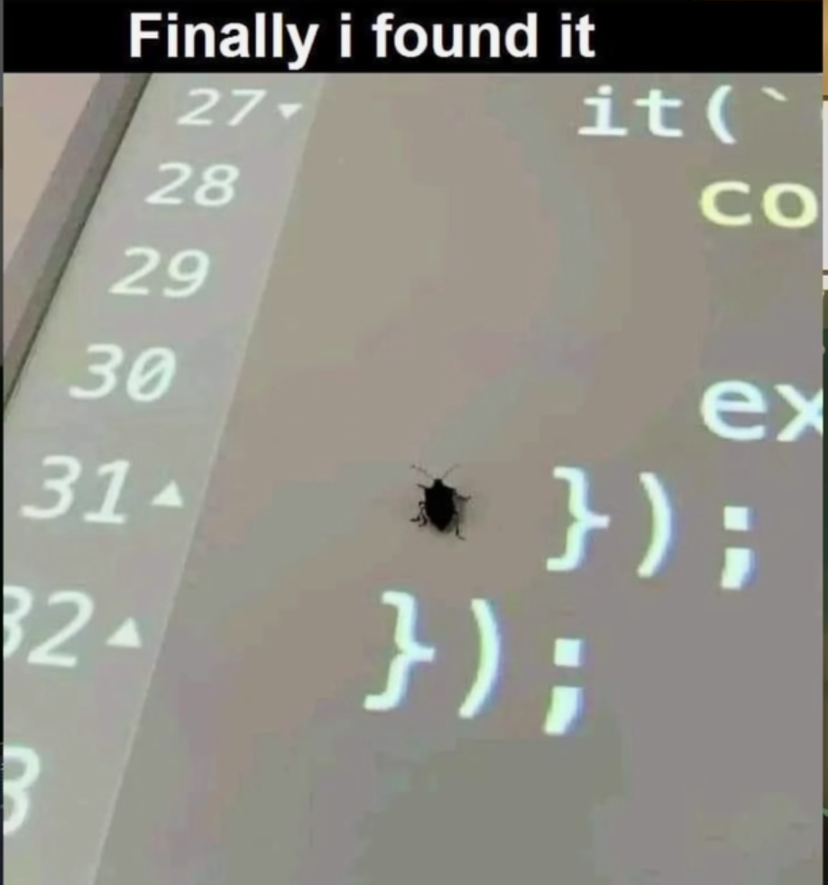 Finally Found It: The Most Literal Bug Ever