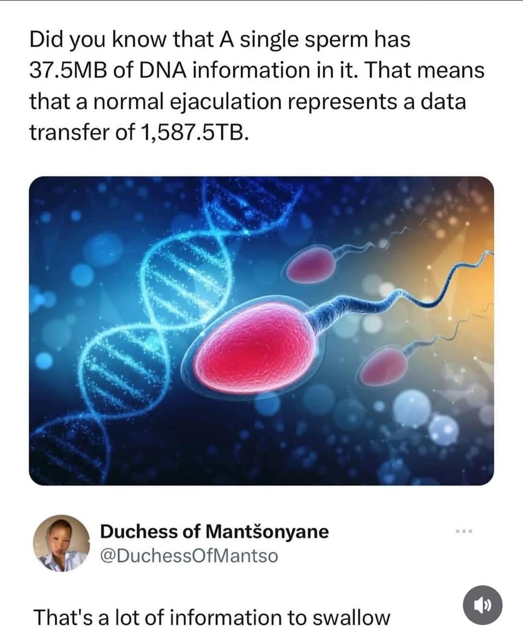 Nature's Unbeatable Data Transfer Protocol