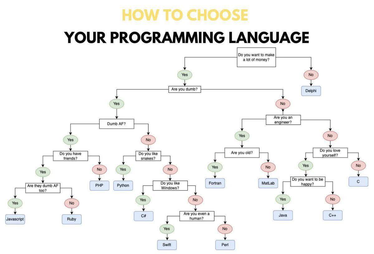 How To Choose Your Programming Language