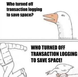 Who Turned Off Transaction Logging To Save Space?