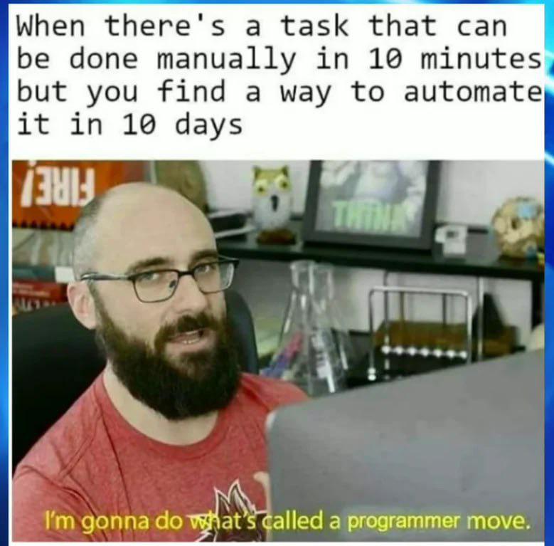 The Programmer's Efficiency Paradox