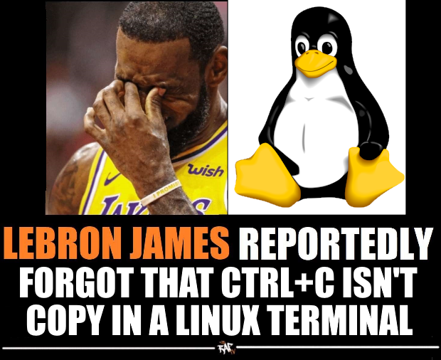Ctrl+C: The Silent Developer Killer