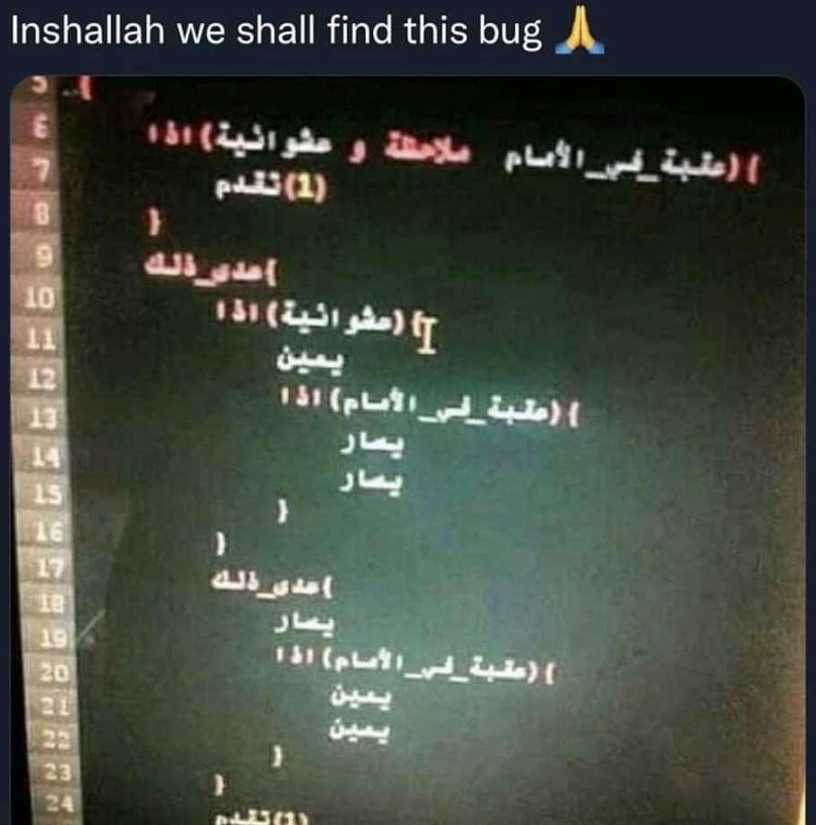 Inshallah We Shall Find This Bug