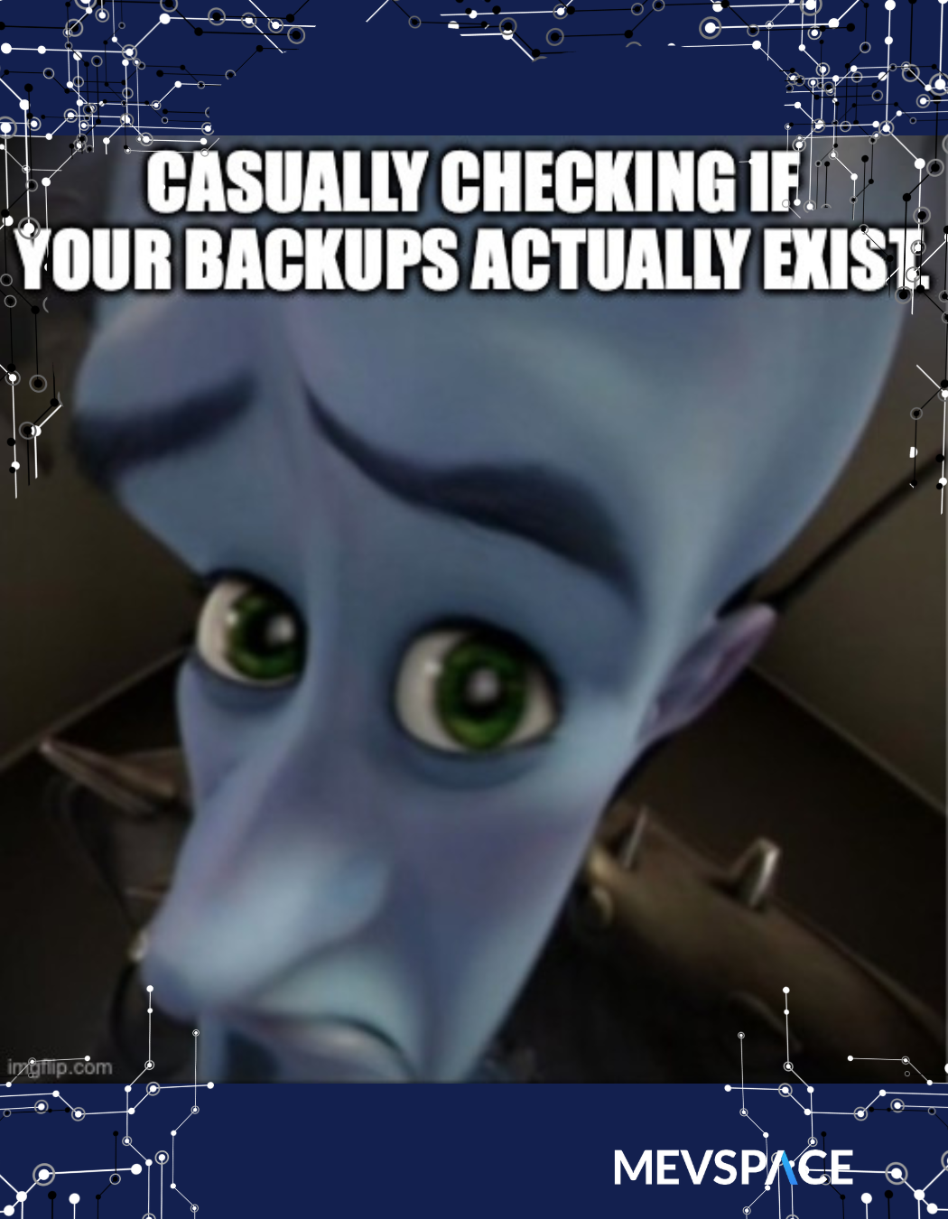 Schrödinger's Backup Strategy