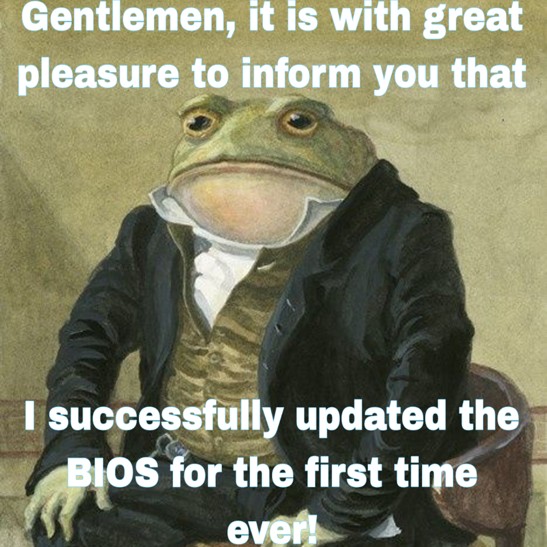 The BIOS Update Survival Announcement