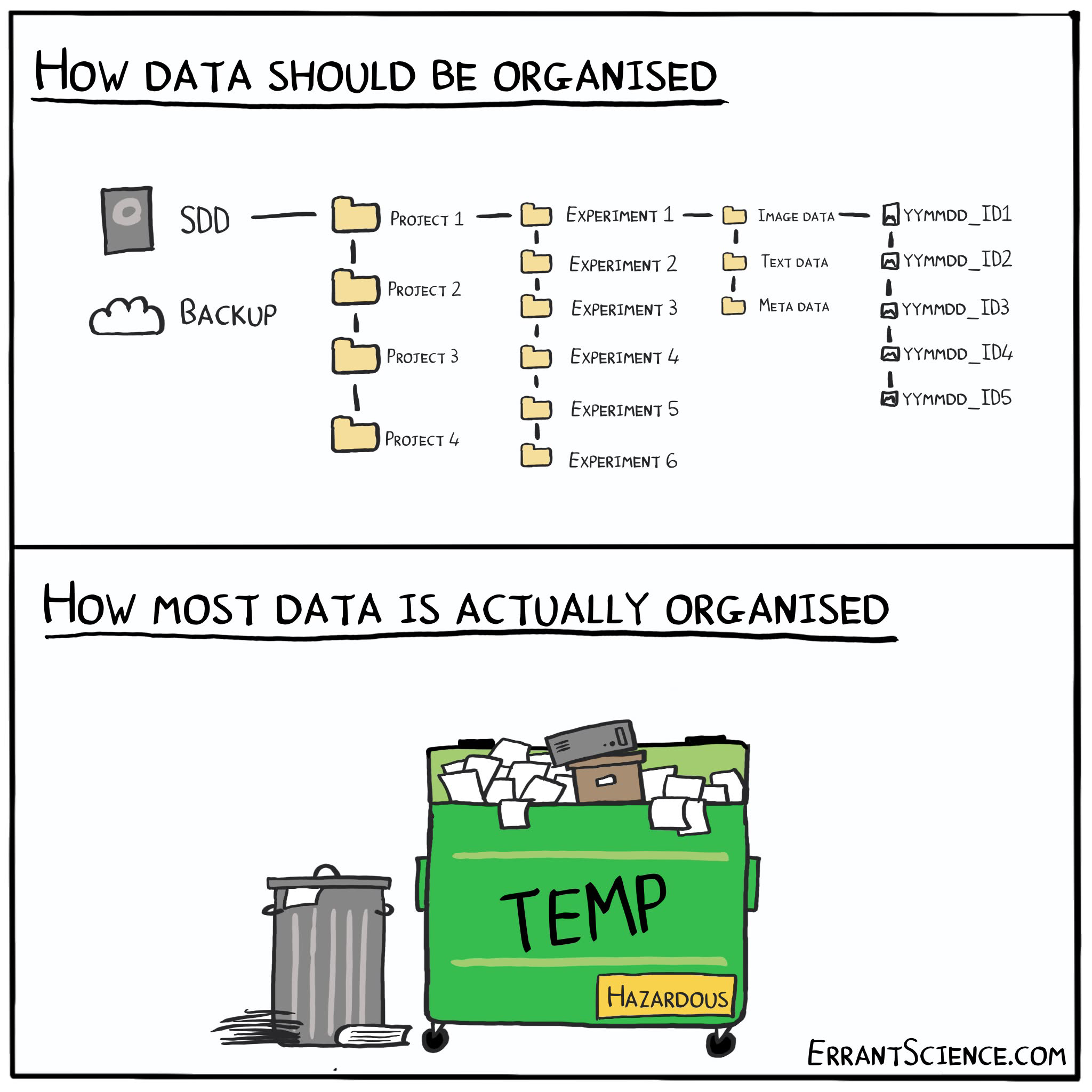 Expectation vs. Reality: Data Organization