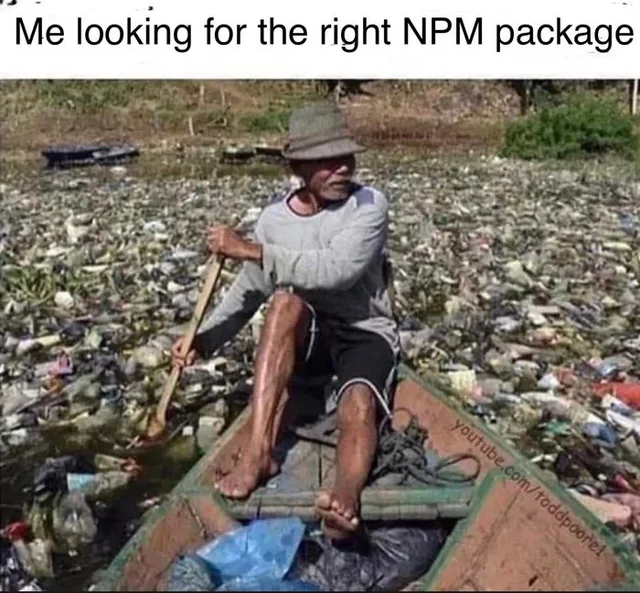Me Looking For The Right NPM Package