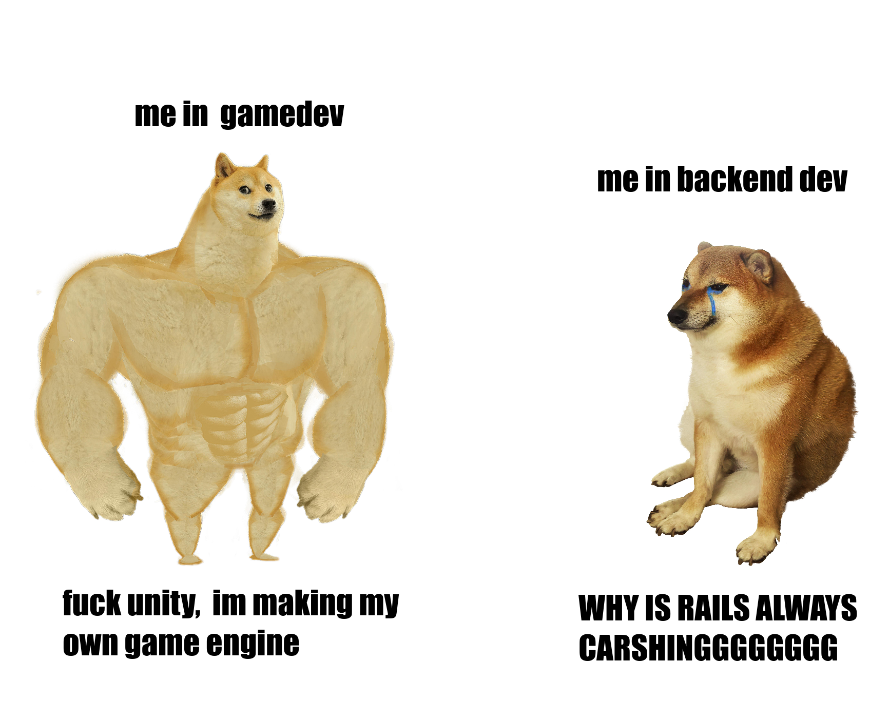 The Duality Of Developer Pain