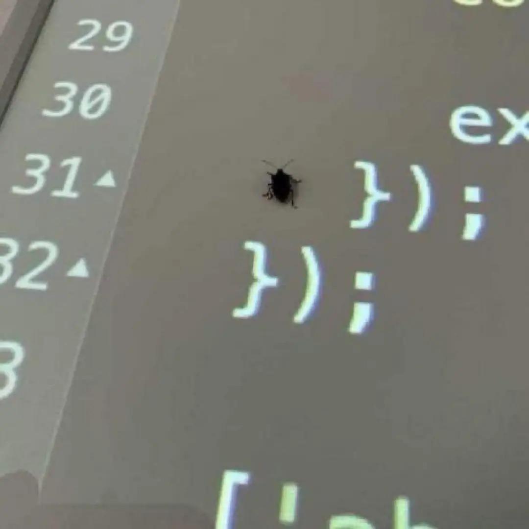 Found The Bug