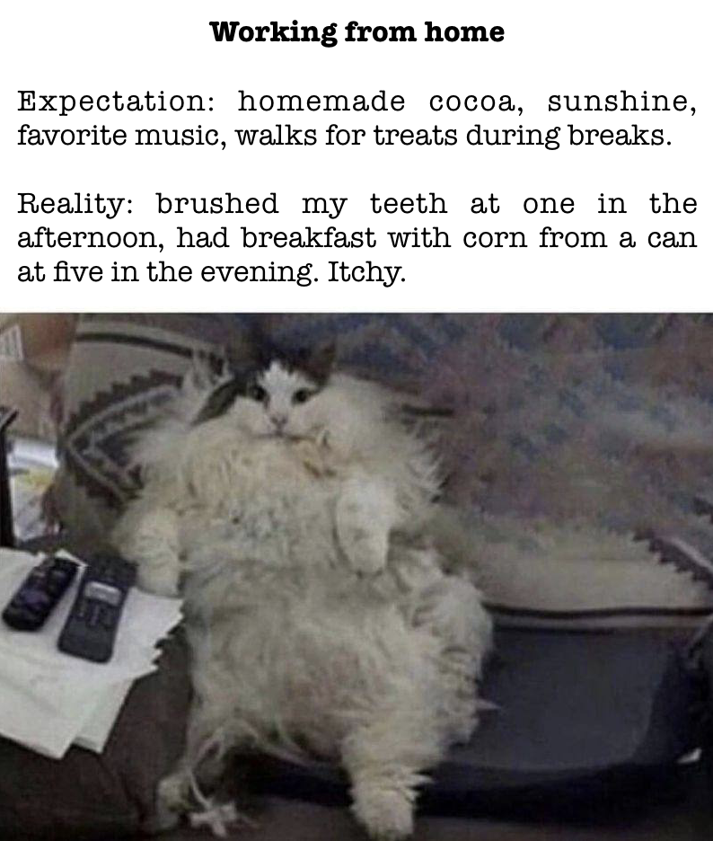 Expectation vs. Reality: The Remote Developer Experience