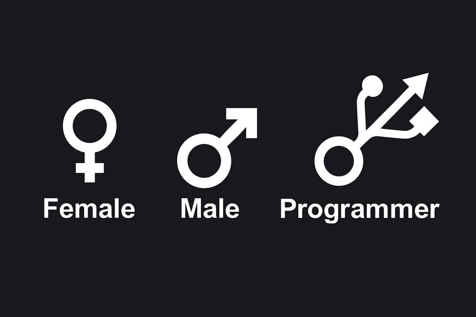 The Third Gender: Programmer