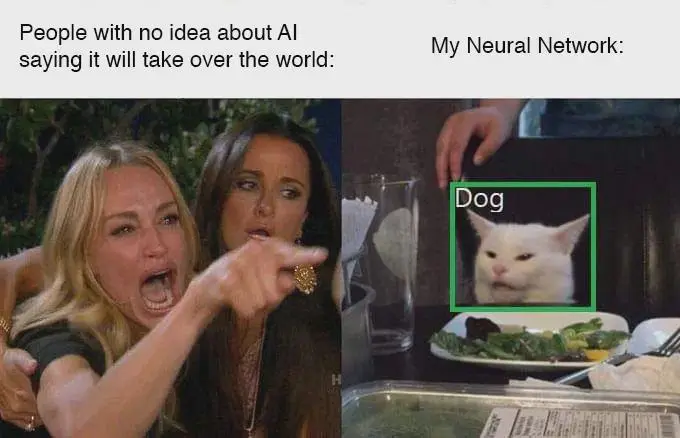 AI Overlords Can't Even Identify A Cat