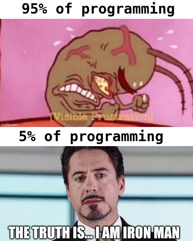The Duality Of Developer Existence