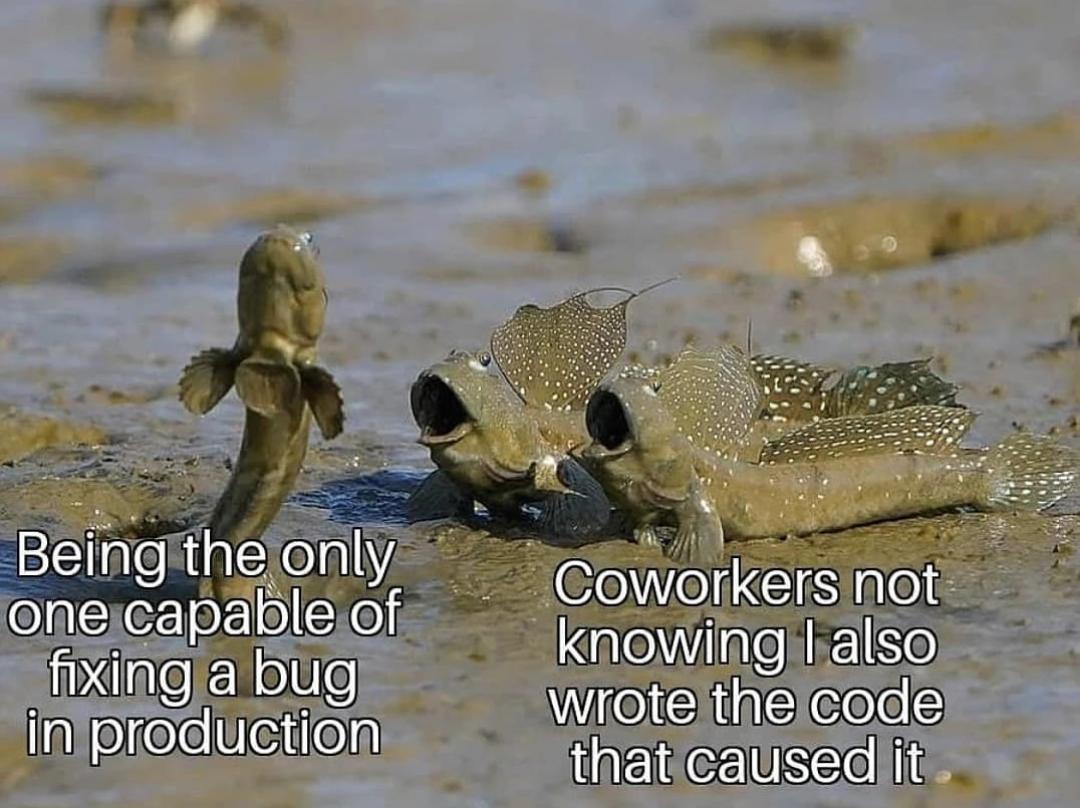 Watch And Learn (While I Hide The Evidence)