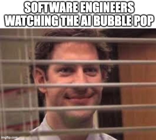 Software Engineers Watching The AI Bubble Pop