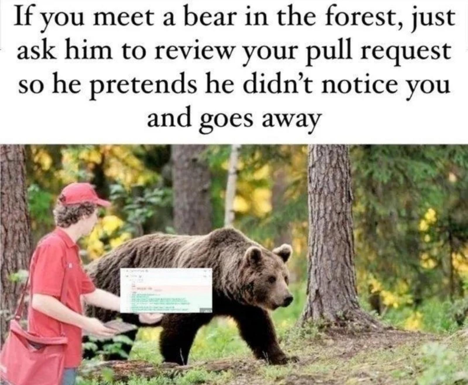 The Ultimate Bear Repellent: Your Pull Request