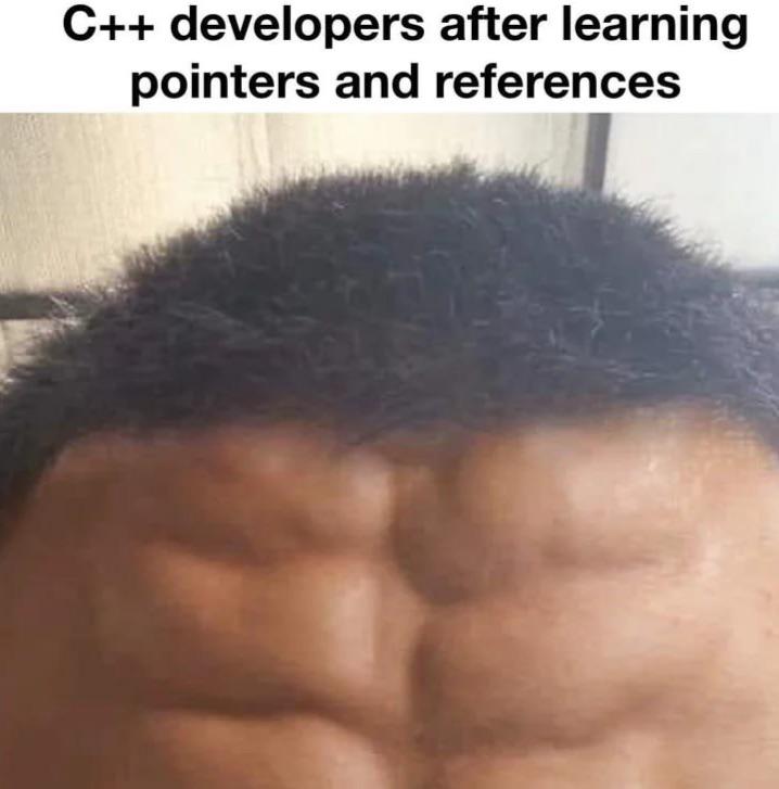 C++ Developers Got Forehead Abs 🥲