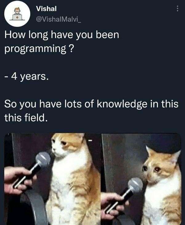 Four Years Of Experience, Zero Years Of Confidence