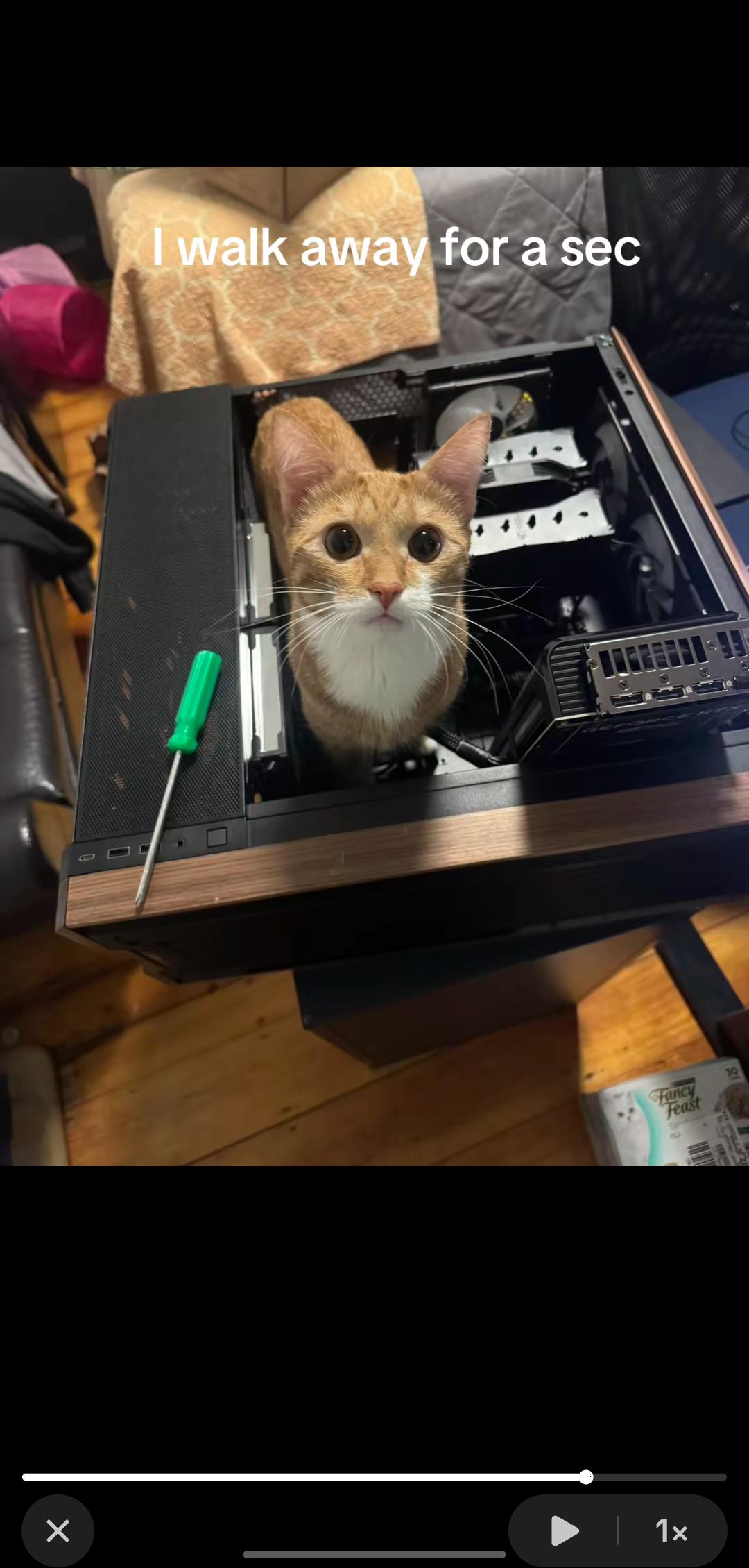 Cat Processing Unit (CPU)