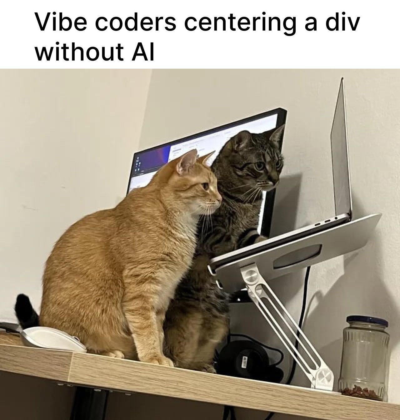 Vibe Coders Centering A Div Without AI