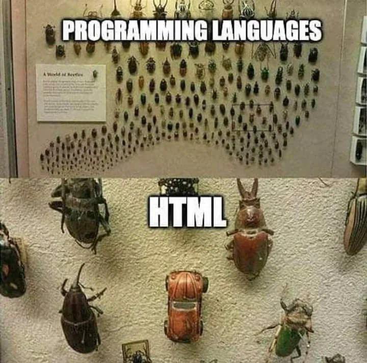 HTML: The Beetle In The Programming Zoo