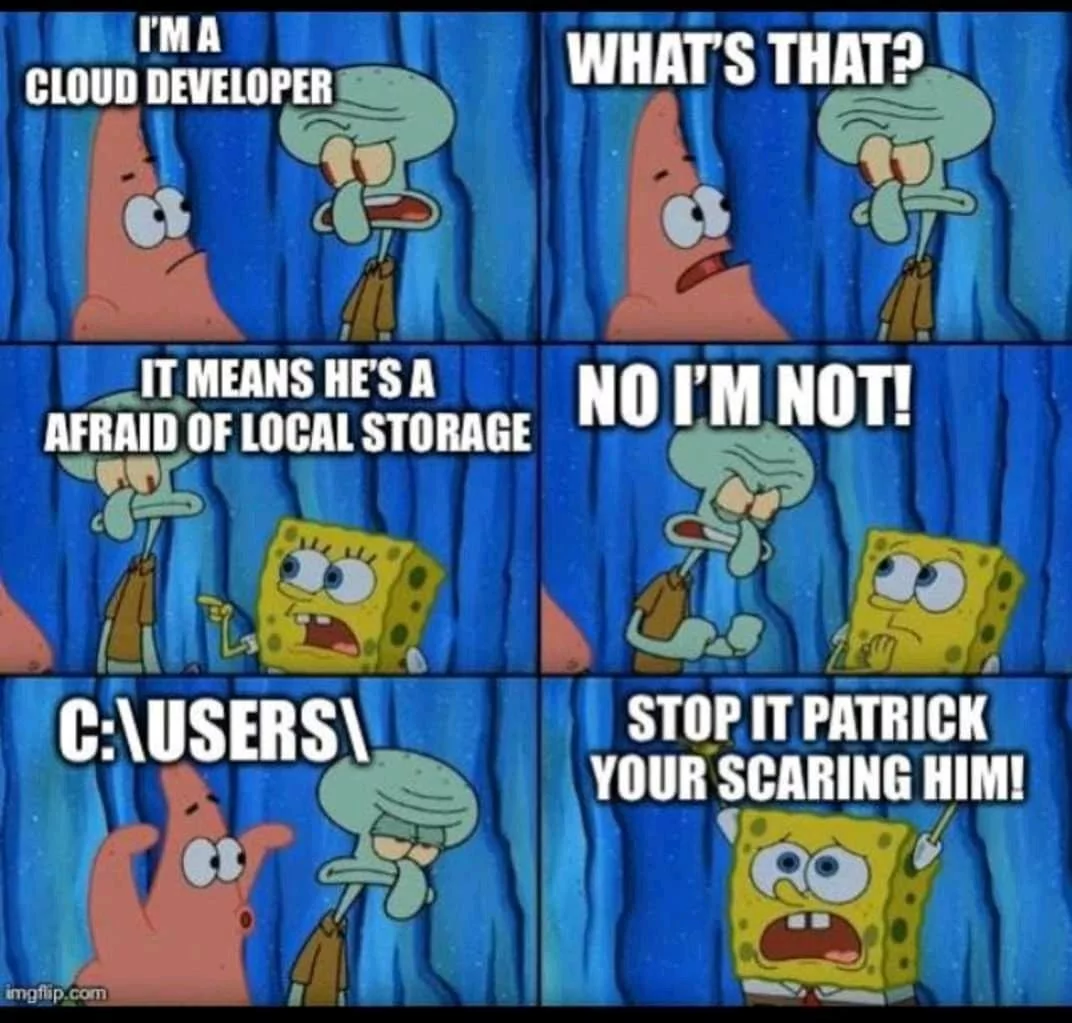"Cloud" Devs vs Local Storage