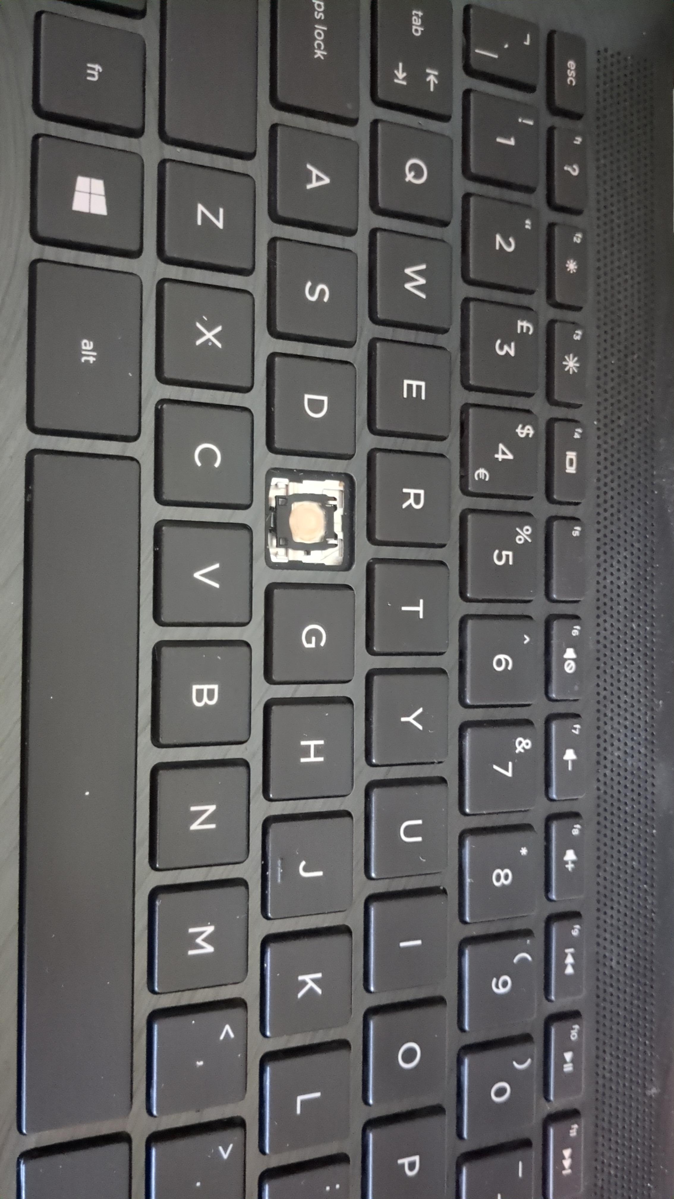 My Cat Just Jumped On My Laptop And Ripped Off The F. Can I Get An F In The Chat