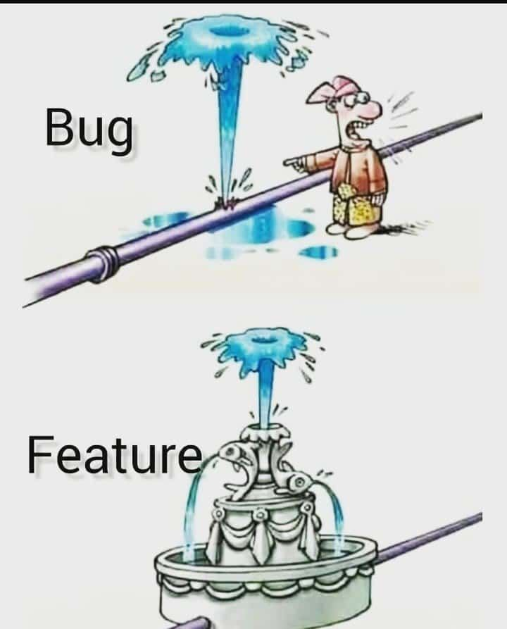 Developers Call It A Bug, Product Managers Call It A Feature