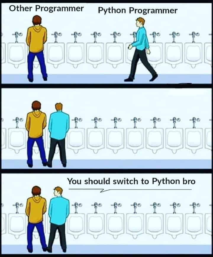 The Python Mafia