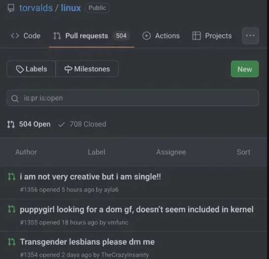 When Your Pull Requests Need Dating Profiles