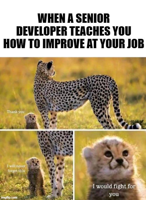 When A Senior Developer Teaches You How To Improve At Your Job