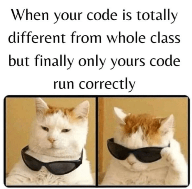 The Unexpected Code Whisperer