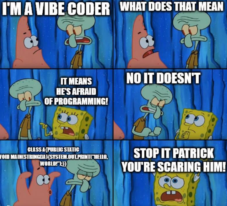 Vibe Coders When Buzzwords Meet Reality