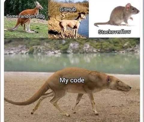 The Developer's Code Source Hierarchy