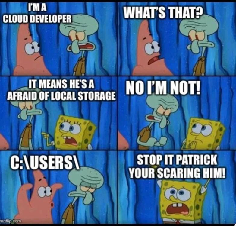 Cloud Devs Vs Local Storage