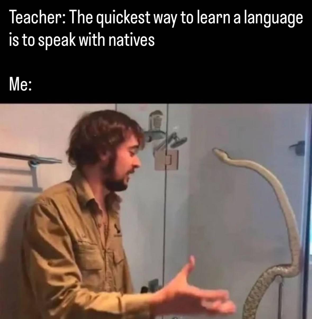 The Quickest Way To Learn A Language