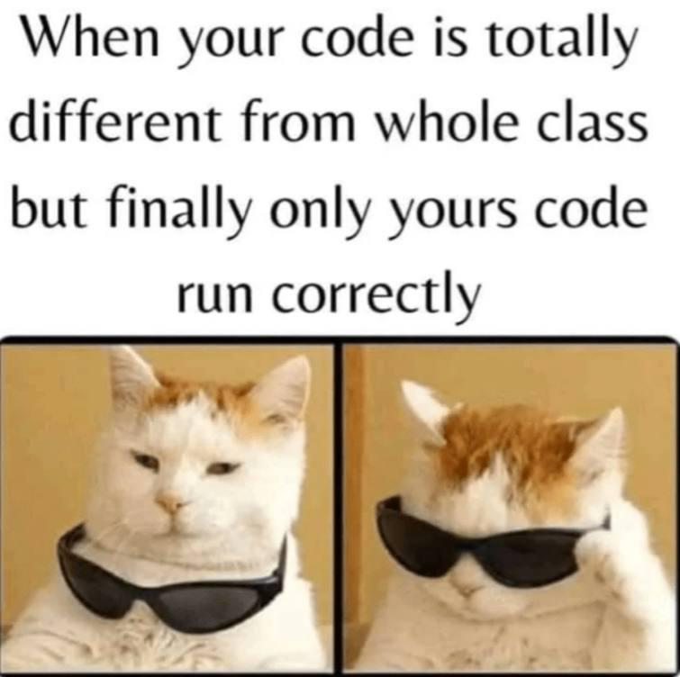 The Unexpected Code Whisperer