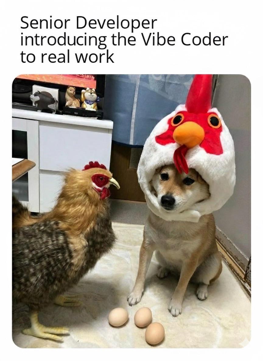 Say No More: Welcome To The Real World