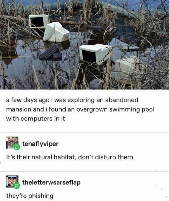 They Are Phishing