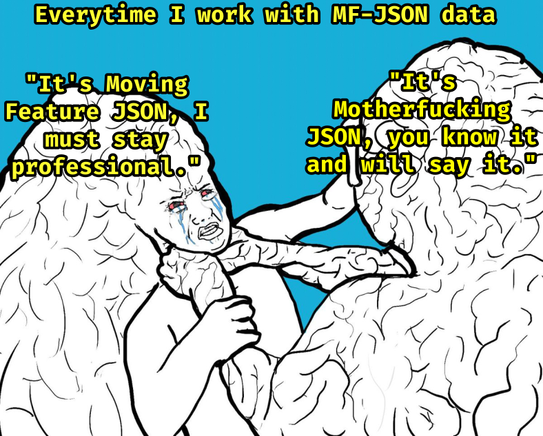 The Two Faces Of JSON Development